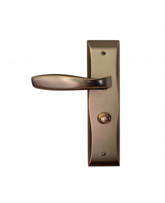Entrance Lever Handle With Thumb Turn