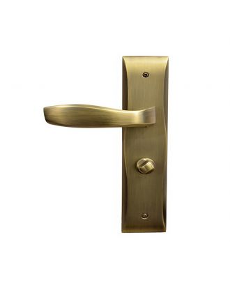 Entrance Lever Handle With Thumb Turn