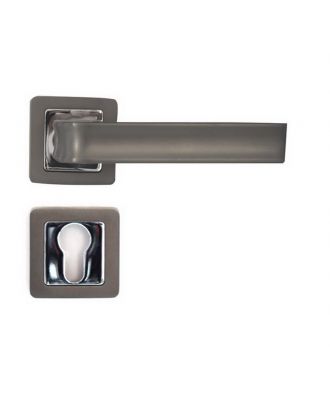 Entrance Handle With Cylinder Escutcheon