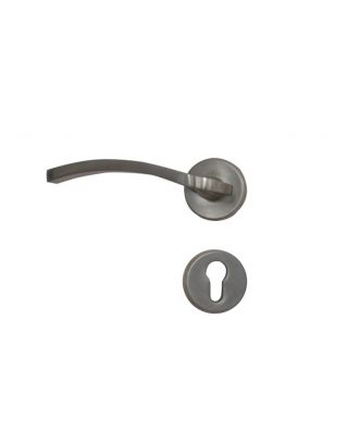 Entrance Door Handle