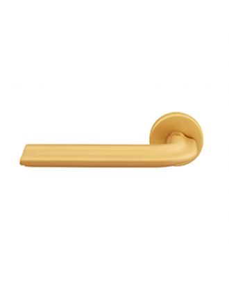 Door Handle With Wc