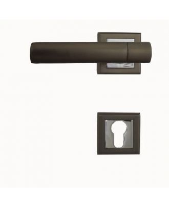 Entrance Handle With Cylinder Escutcheon