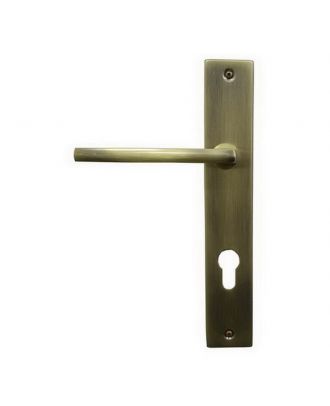 Entrance Handle With Cylinder Escutcheon