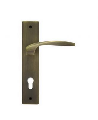 Entrance Lever Handle With Cylinder Hole