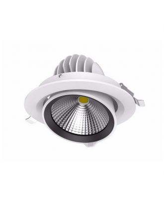 Led Downlight Adjustable 15W White