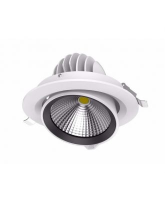 Led Downlight Adjustable 15W White