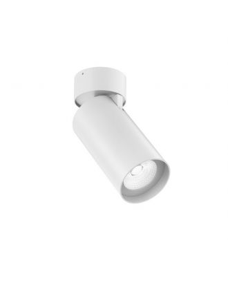 Spotlight Adjustable Downlight 25W White