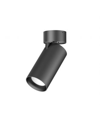 Adjustable Surface Mounted Downlight