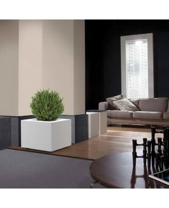 Quadro Vase 50 Cm, White