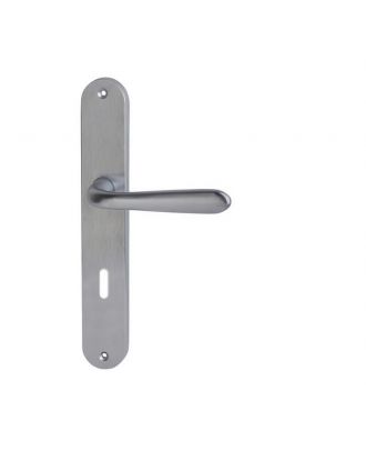 Door Handle With Long Plate