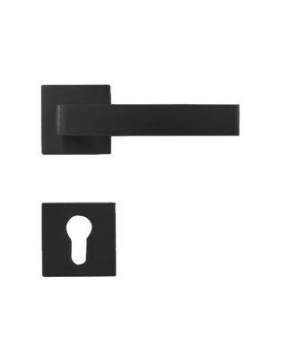 Shelby Door Handles With Square Rosettes