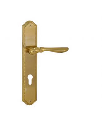 Door Handle With Long Plate