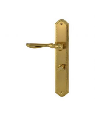 Door Handle With Long Plate Wc