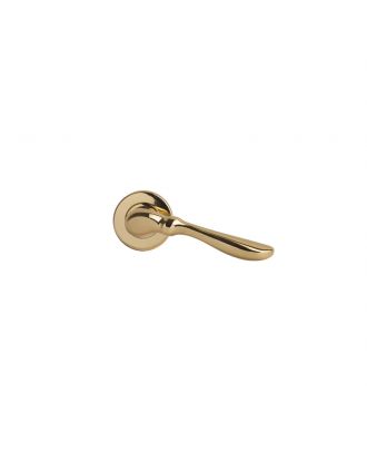 Door Handle With Round Rosettes Gold