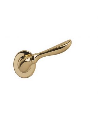 Door Handles With Round Rosettes Wc Gold