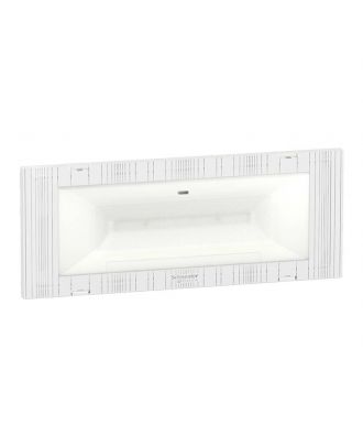 Emergency Light Luminaire - Std - Non-Maintained - 3 H - 120 Lm