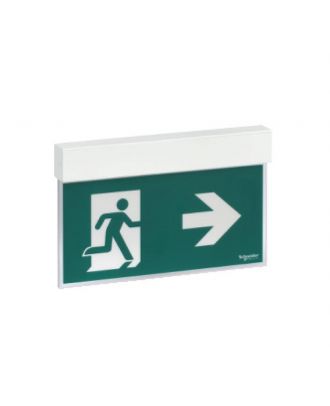 Emergency Lighting-Safety Signaling-Exiway Easysign-1 Led,24 M,3 H