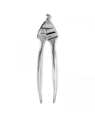 Garlic Press 19,50 - 7Cm - Essentials